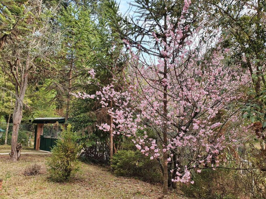 Casa Da Nanna Campos Villa Campos do Jordão Eksteriør bilde
