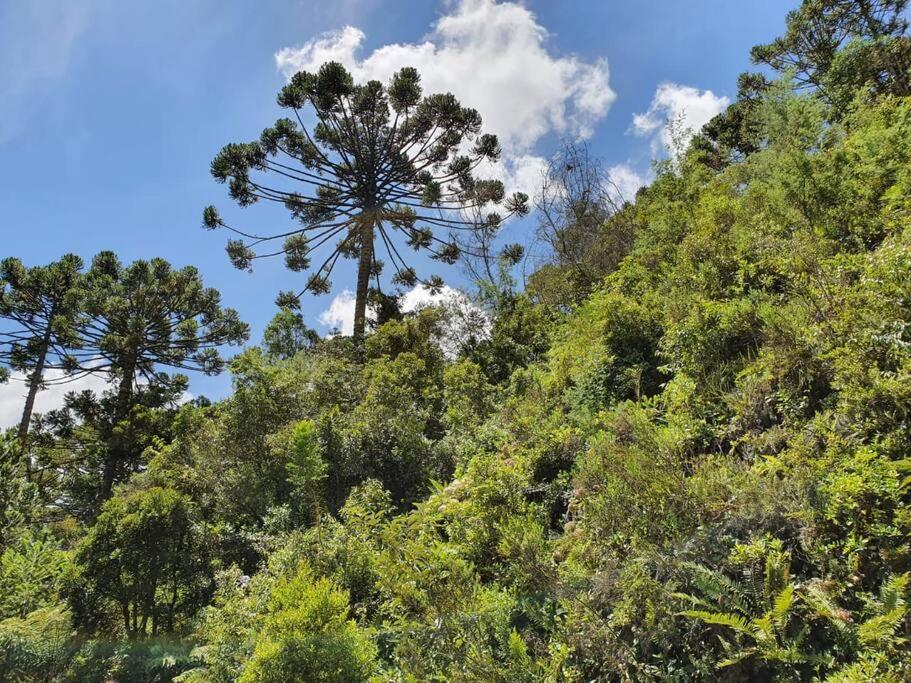 Casa Da Nanna Campos Villa Campos do Jordão Eksteriør bilde